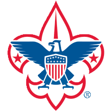 BSA logo